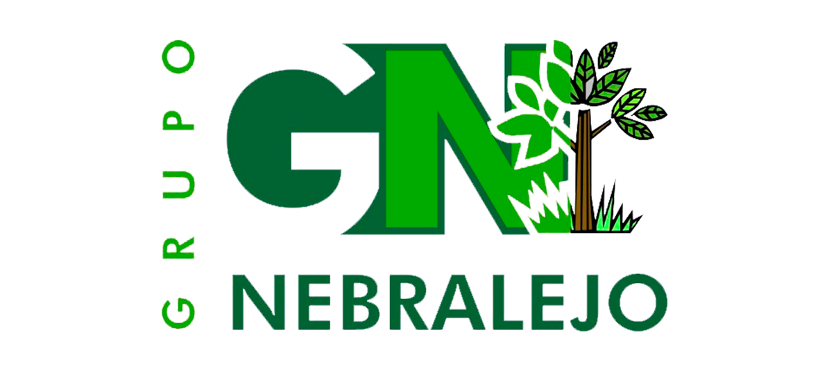 Grupo Nebralejo HoverBox 02